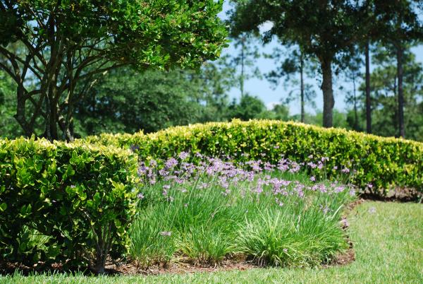 css-landscaping-projects-11