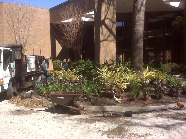 css-landscaping-projects-15