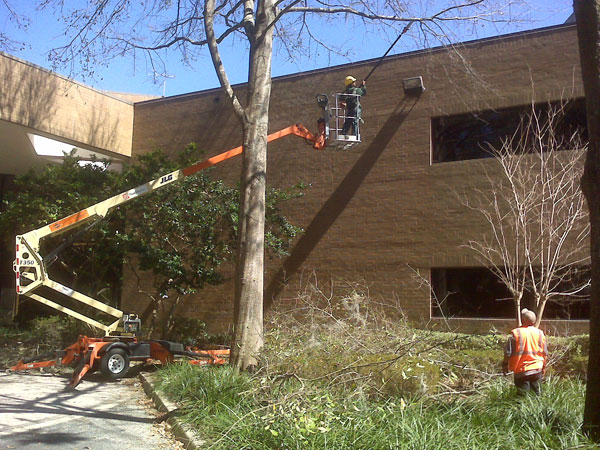 css-landscaping-projects-18