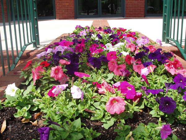 css-landscaping-projects-9